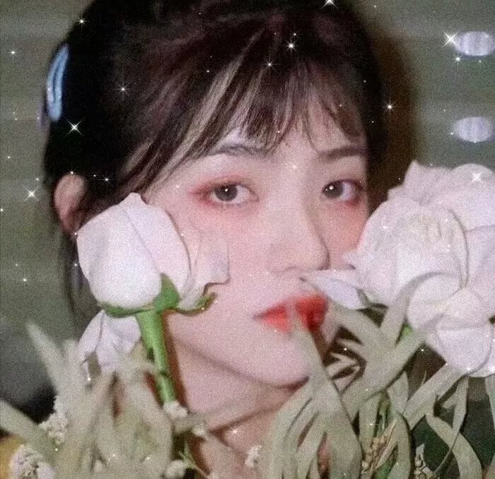 蓬门绮梦