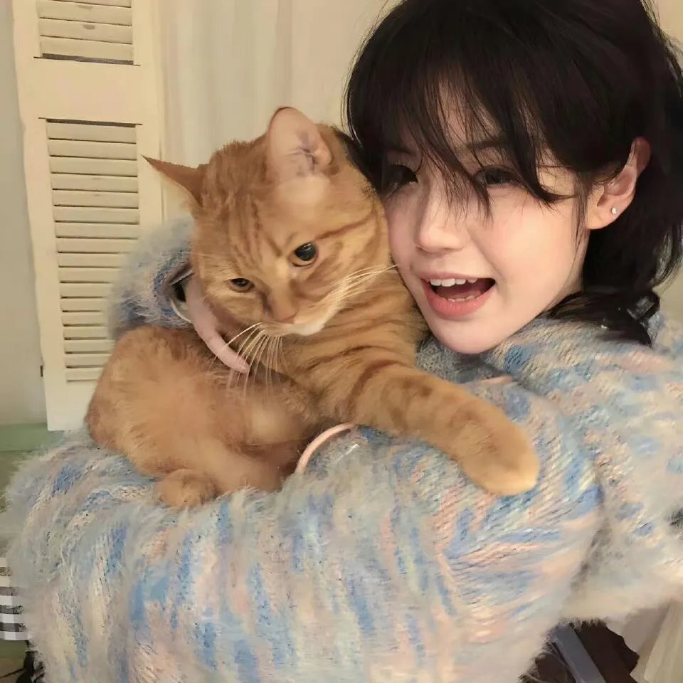 养猪场的奇迹国语